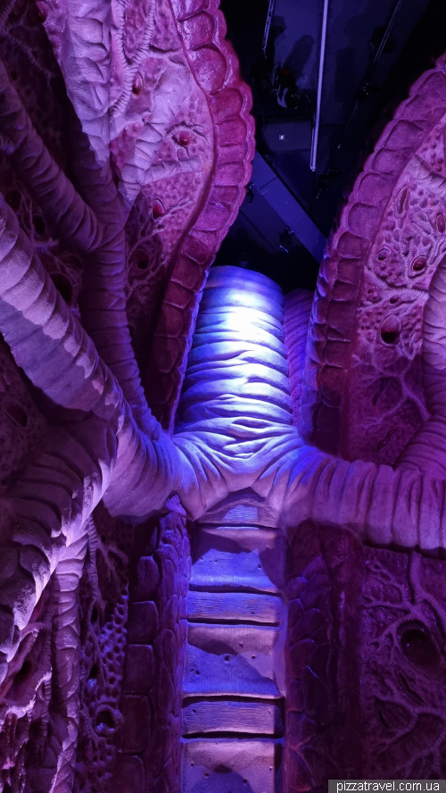Corpus Museum of the Human Body