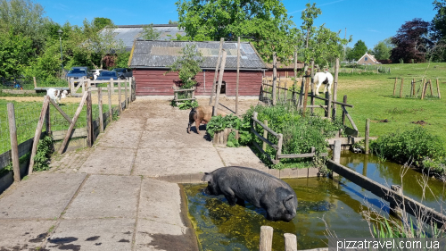 The Geertje Farm