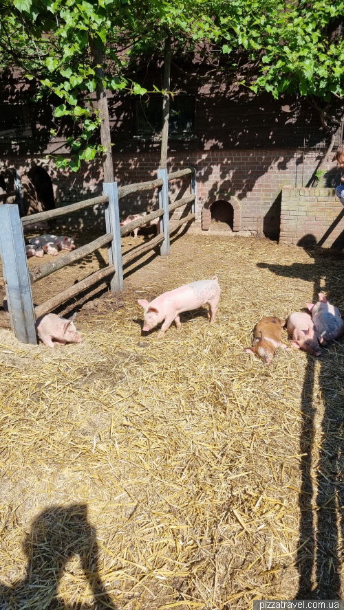 The Geertje Farm