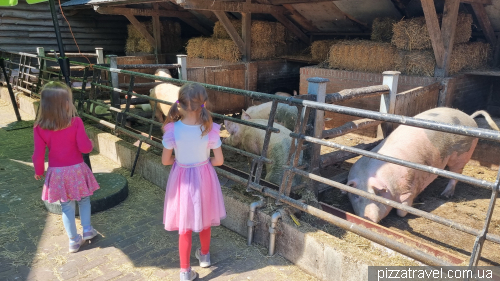 The Geertje Farm