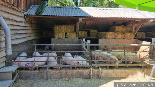 The Geertje Farm