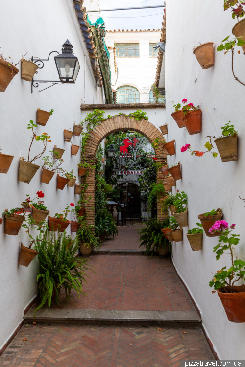 Cordoba