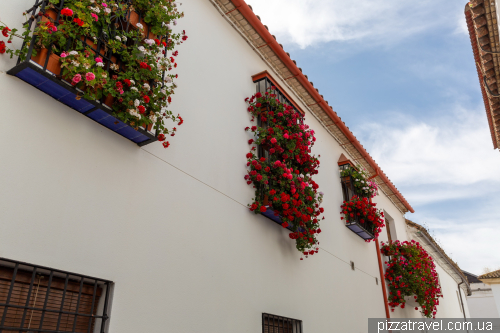 Cordoba