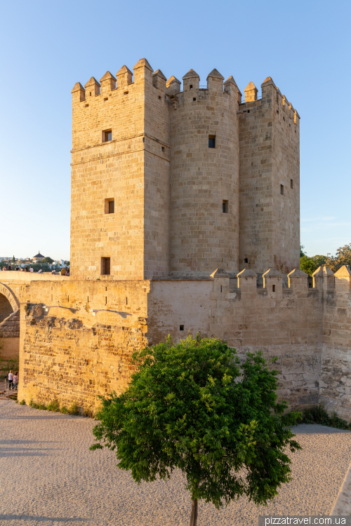 Cordoba
