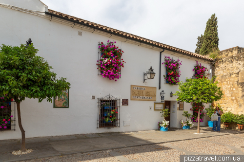 Cordoba