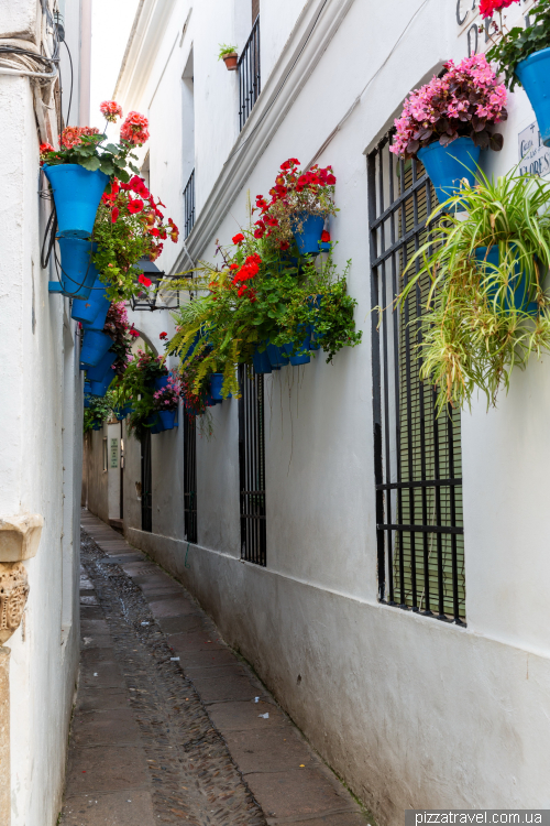 Cordoba