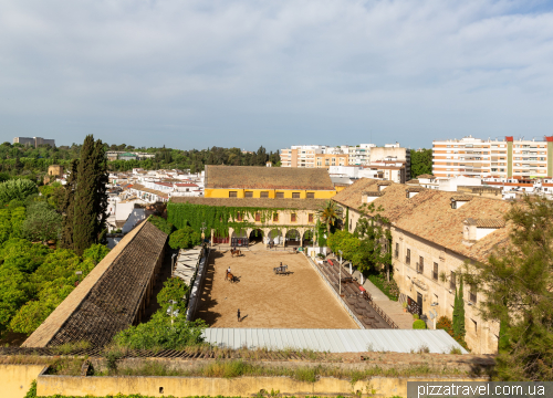 Cordoba