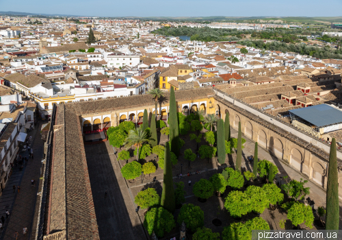 Cordoba