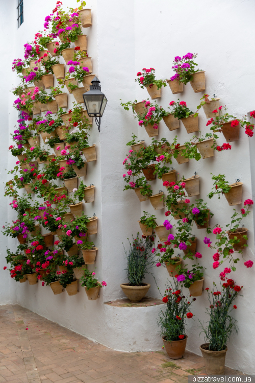 Cordoba