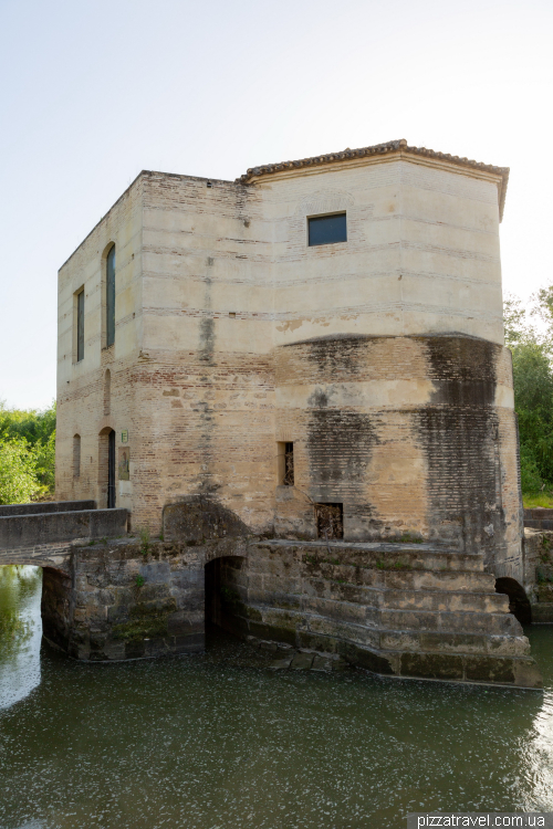 Cordoba