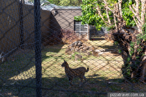 Casela Wildlife Park
