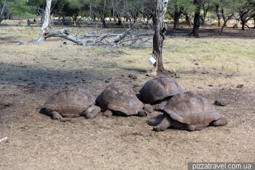 Casela Wildlife Park