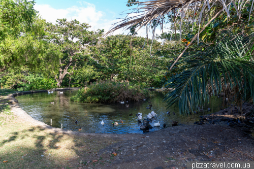 Casela Wildlife Park