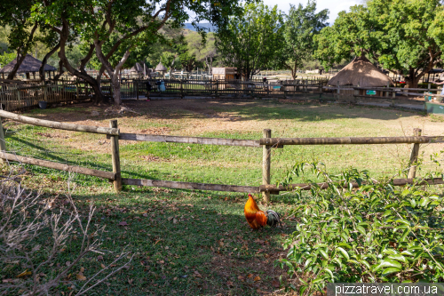 Casela Wildlife Park