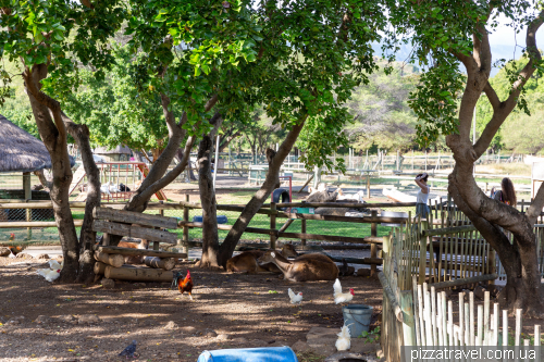 Casela Wildlife Park