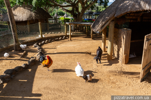 Casela Wildlife Park