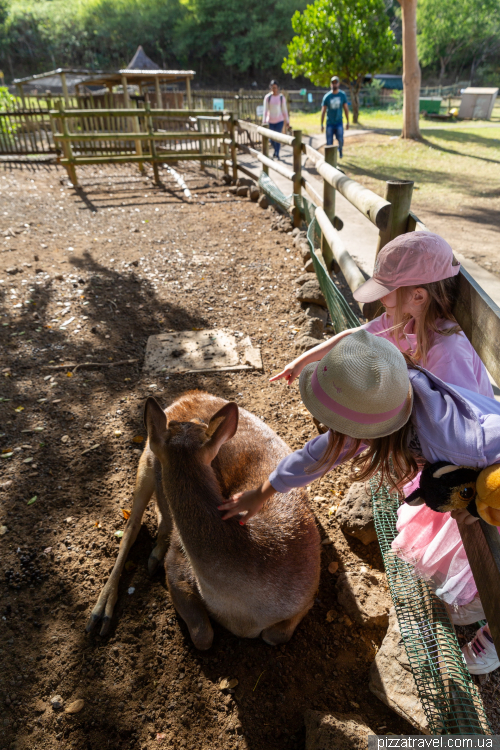 Casela Wildlife Park