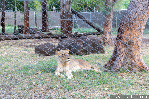 Casela Wildlife Park