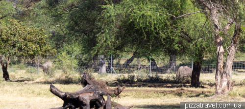Casela Wildlife Park