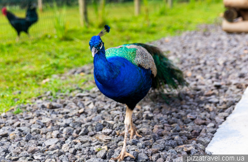 Парк активных развлечений Долина цветов (La Vallée Des Couleurs Nature Park)