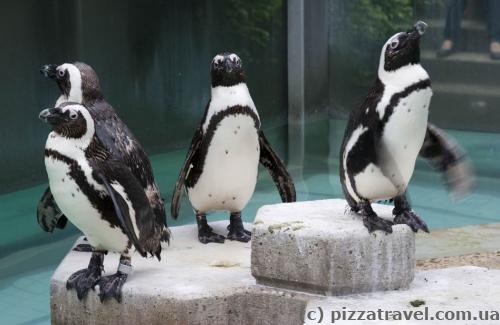 Adventure Zoo in Hannover