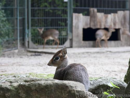 Adventure Zoo in Hannover