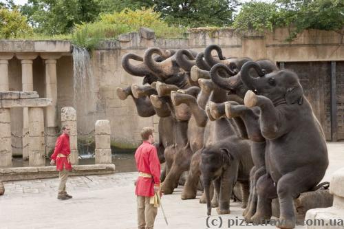 Adventure Zoo in Hannover