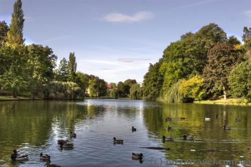 Stadtgraben lake in Wolfenbuettel