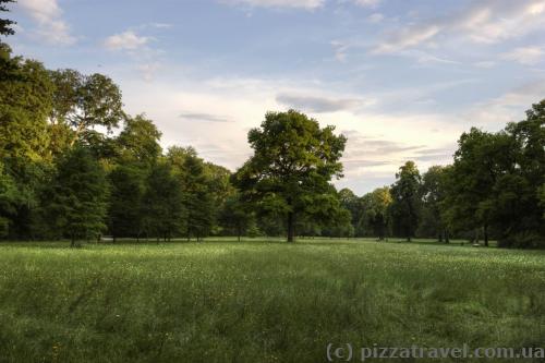 English garden in Munich