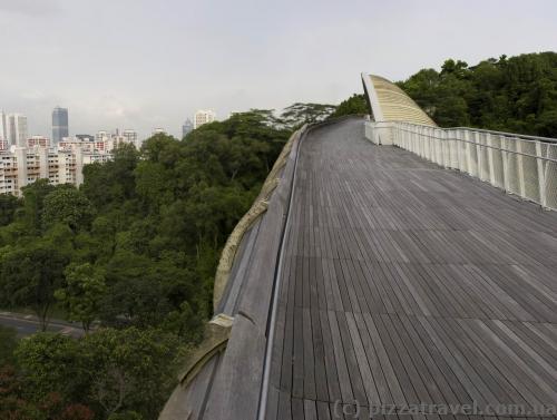 Henderson Waves bridge