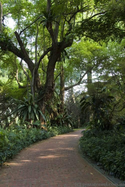 Real botanical garden