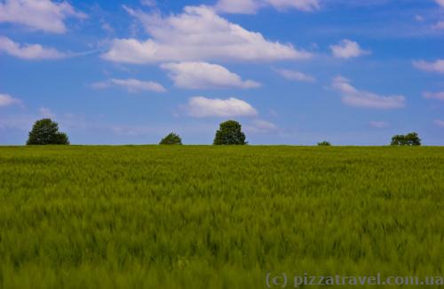 Beautiful scenery on the fields near the castle