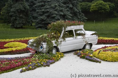 Выставка цветов в Киеве (2013)