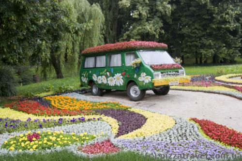 Выставка цветов в Киеве (2013)